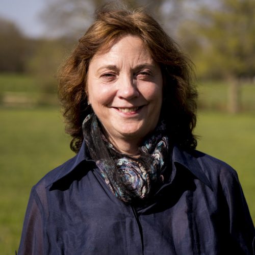 ACVSMR | February Program